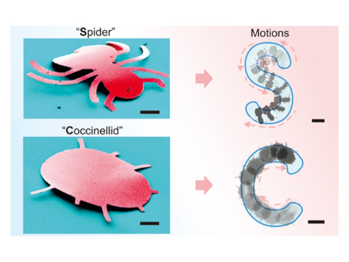 Terrestrial Microrobots, PNAS (2025)