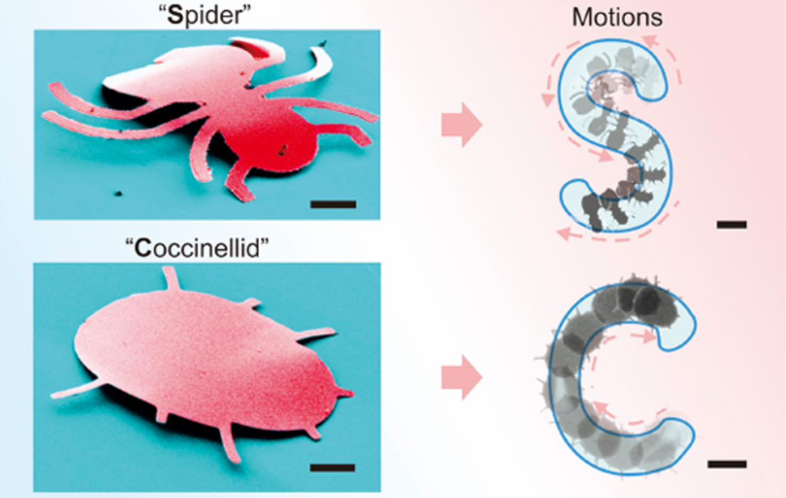 Terrestrial Microrobots, PNAS (2025)